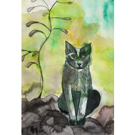 Tamás, a macska 6. - akvarell, tus