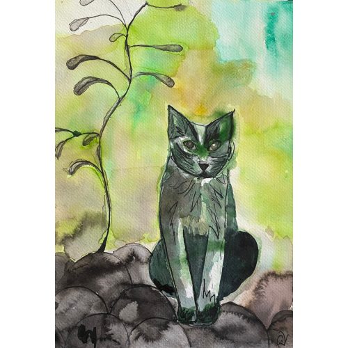 Tamás, a macska 6. - akvarell, tus